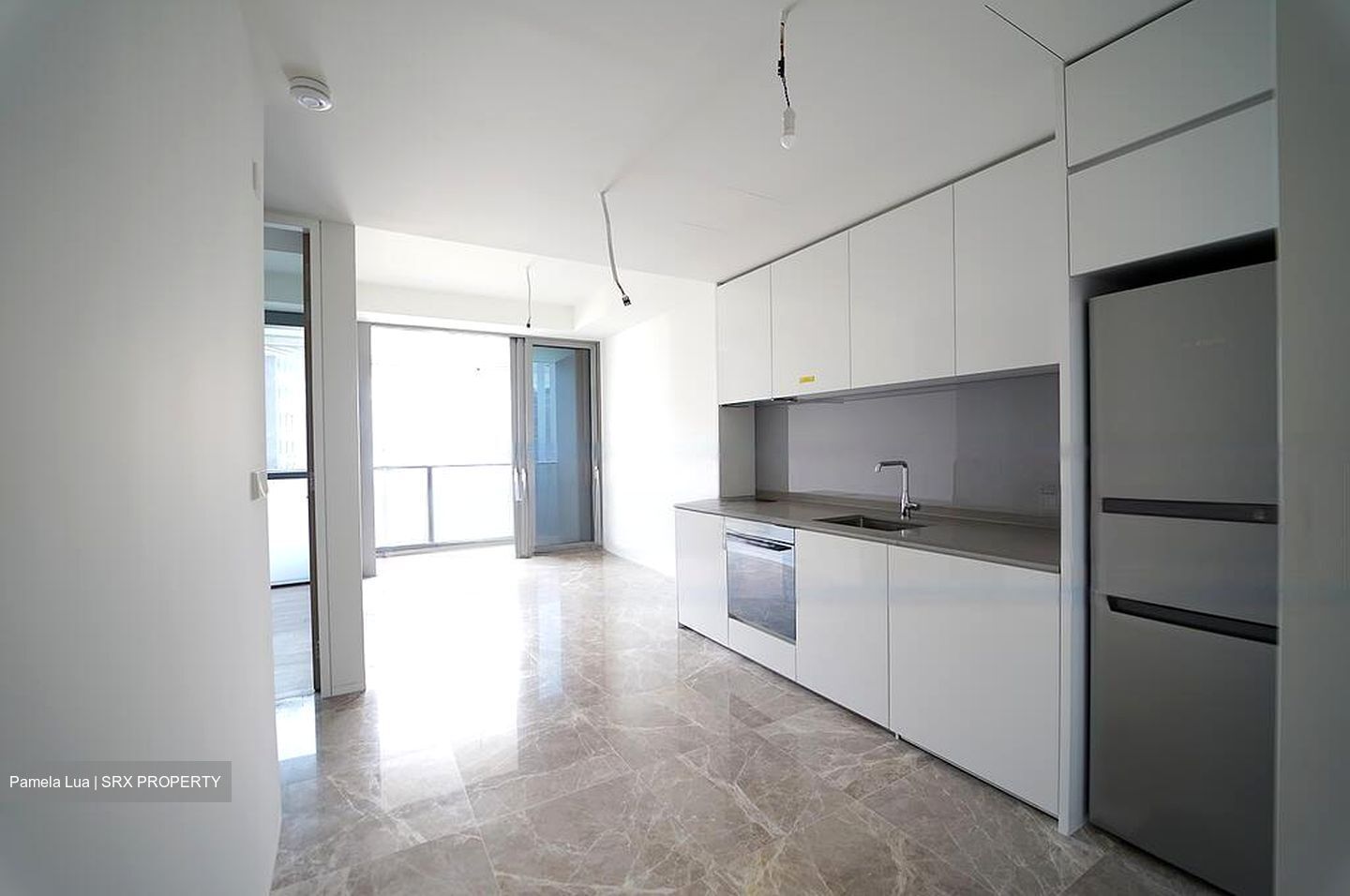 Amber Park (D15), Condominium #595774701